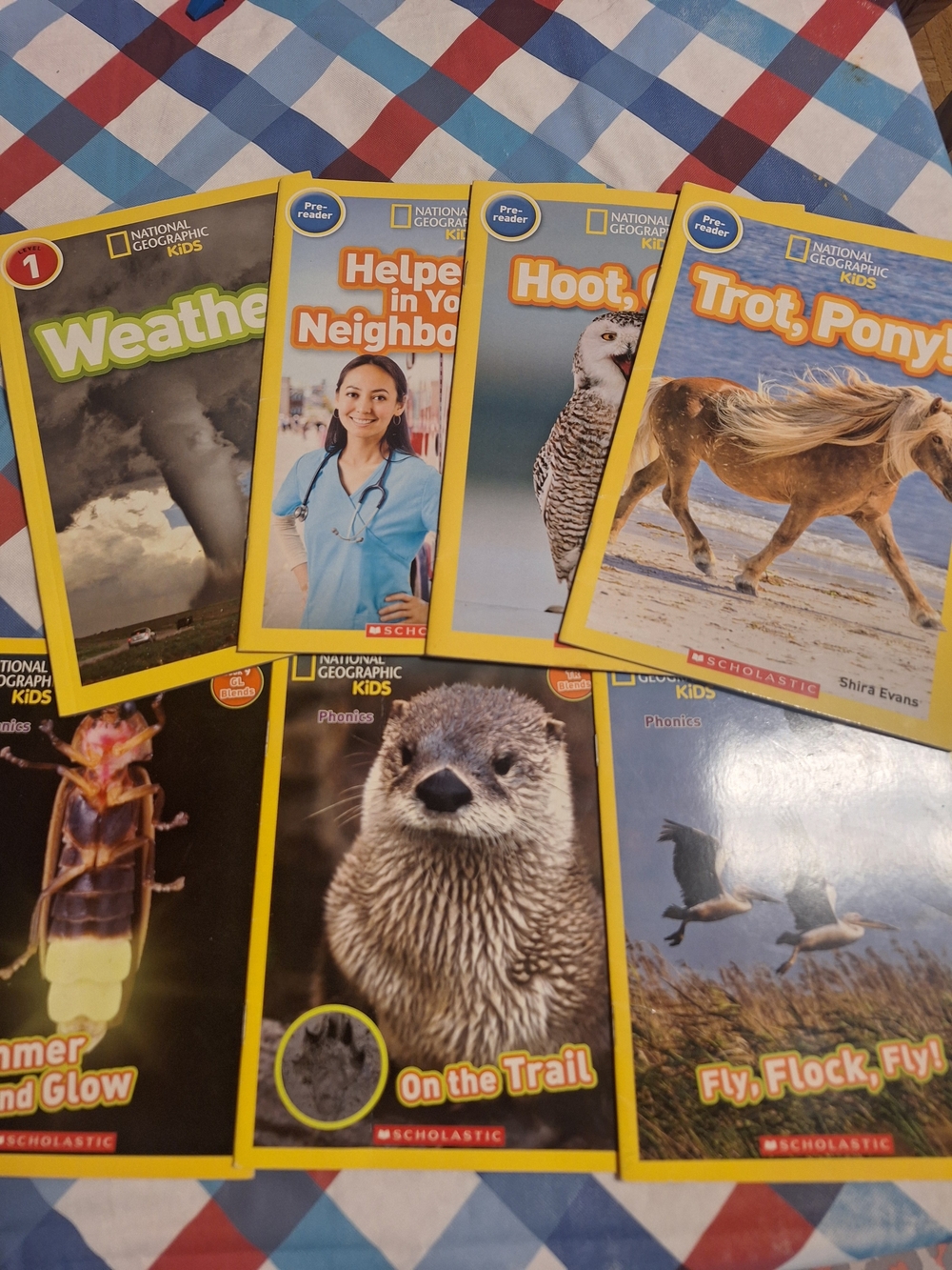 32-Book Early Reader Lot | Pre-Reader & Level 1 | Kids Reading Books